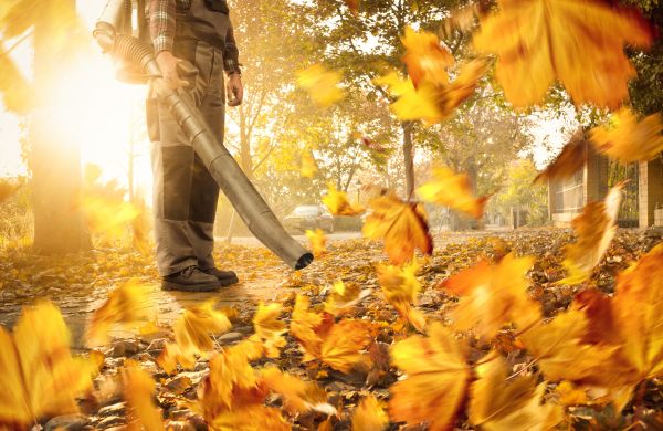 Cost of Leaf Blowing Service in Las Cruces