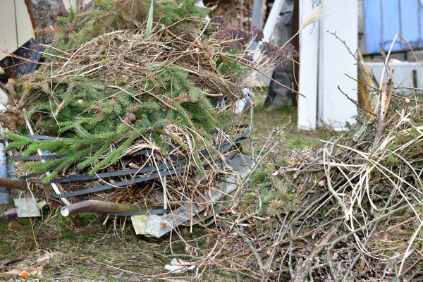 Yard Waste Removal Service in Las Cruces