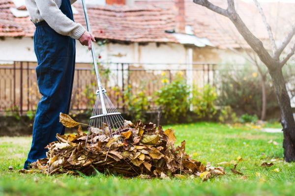 Cost of Fall Yard Cleanup Service in Las Cruces