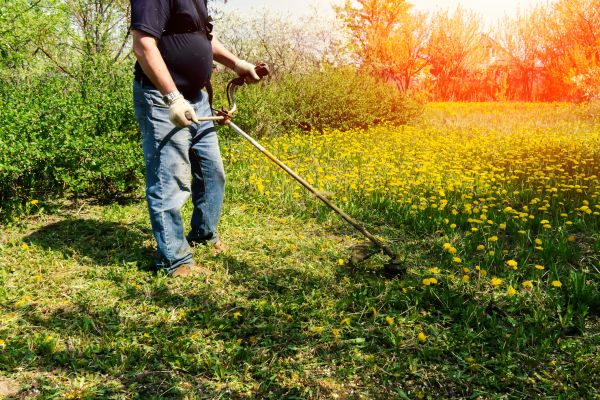 Cost of Yard Clearing Service in Las Cruces