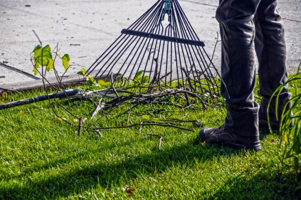Cost of Yard Debris Cleanup in Las Cruces