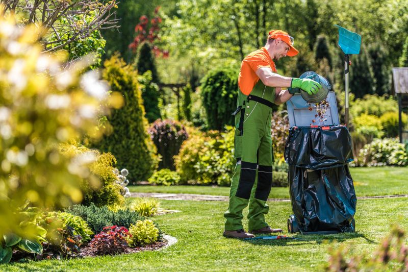 Yard Cleanup Service detail