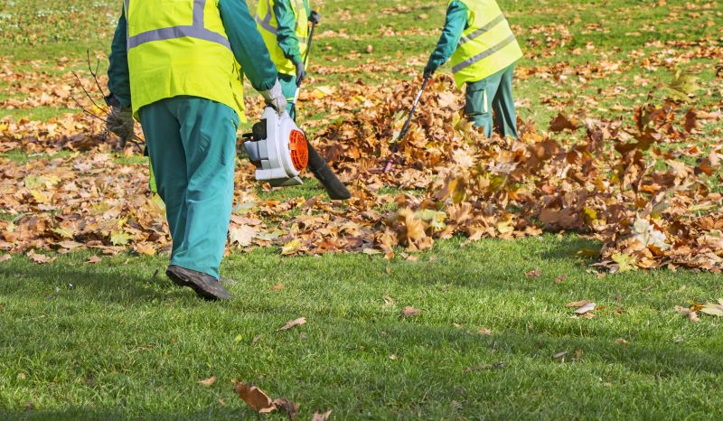 Leaf Disposal Service
