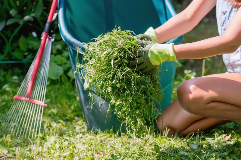 Garden Centers with Lawn Services